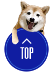 先頭へ戻る